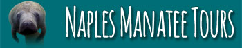 Naples Manatee Tours Logo